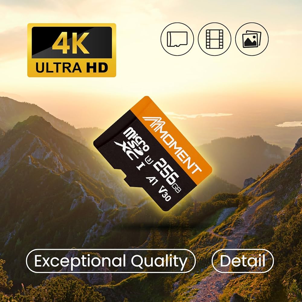 Amazon | MMOMENT マイクロSDカード 256GB Nintendo Switch対応